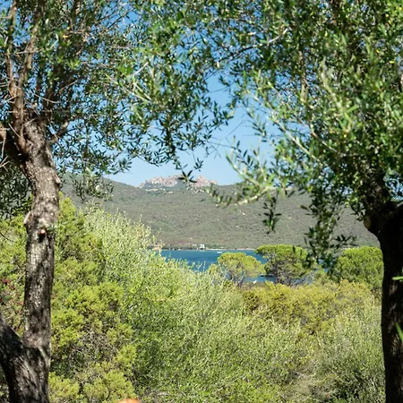 Caletta Nest 88 Apartment *