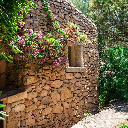 Caletta Nest 88 Apartment Porto Rotondo